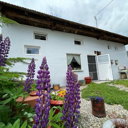 Casa De Oaspeti Cristina Fitod Eksteriør billede