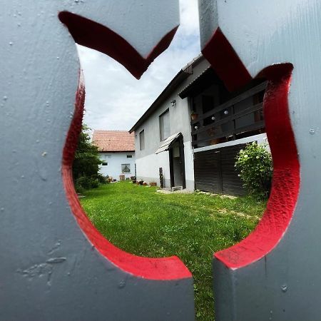 Casa De Oaspeti Cristina Fitod Eksteriør billede