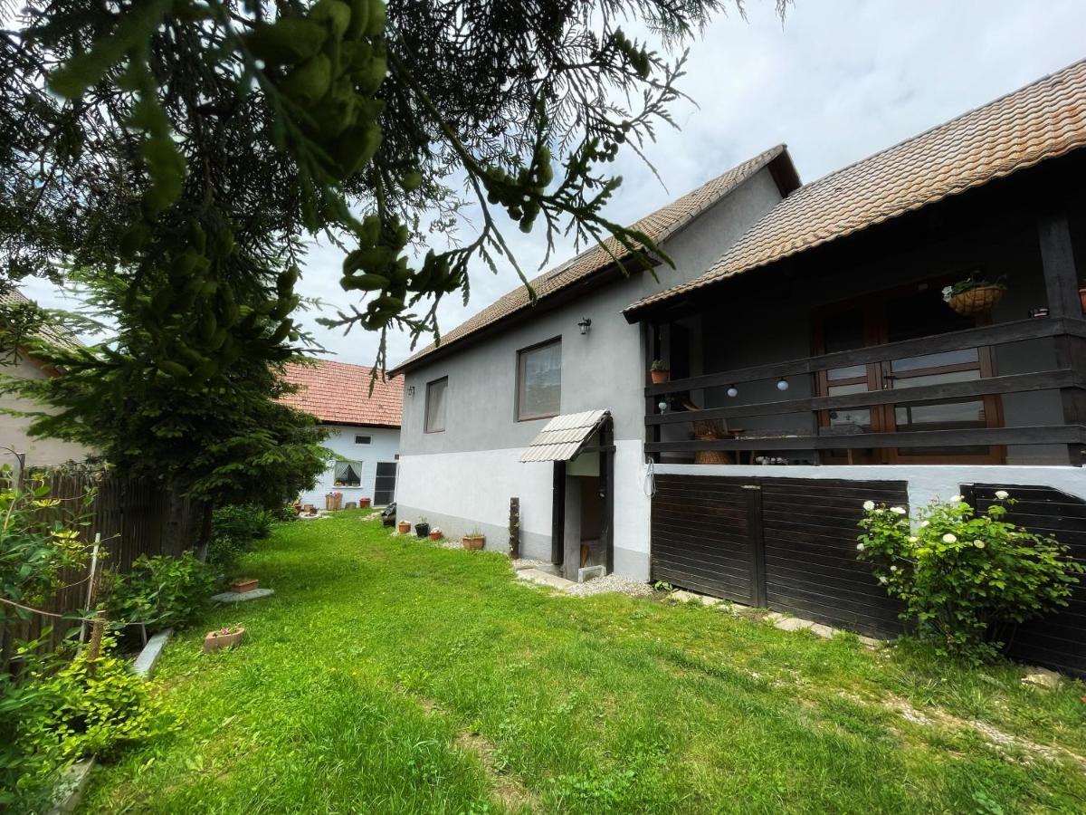 Casa De Oaspeti Cristina Fitod Eksteriør billede