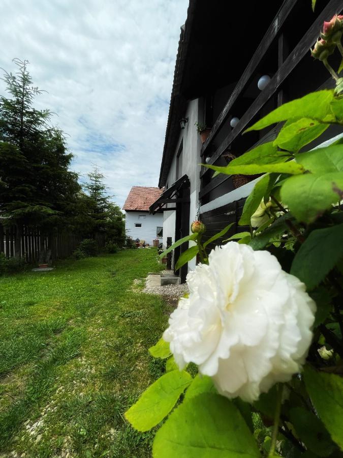 Casa De Oaspeti Cristina Fitod Eksteriør billede