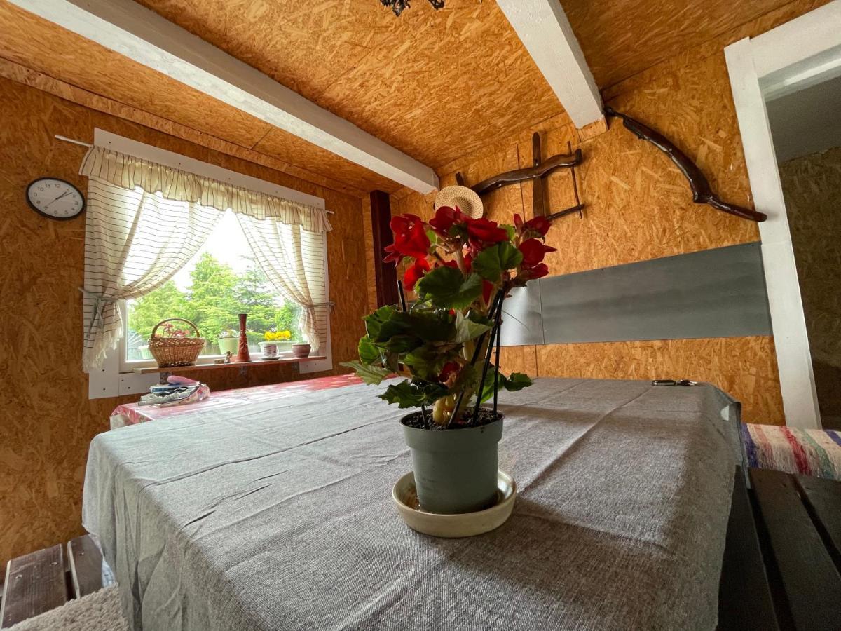 Casa De Oaspeti Cristina Fitod Eksteriør billede